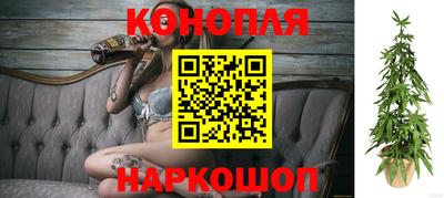 spice Коммунар