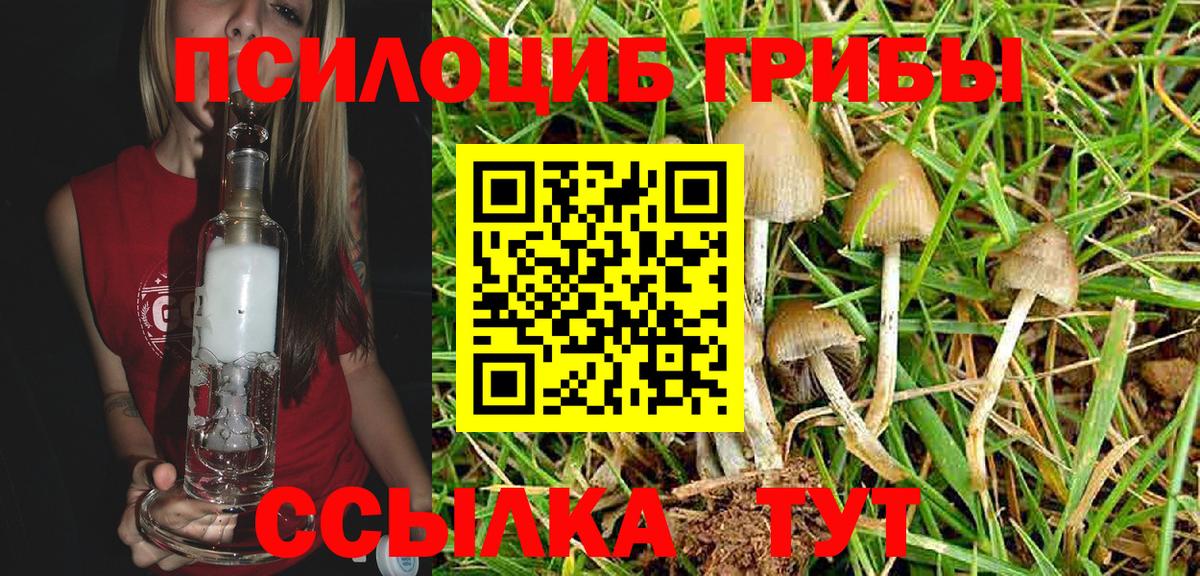 Псилоцибиновые грибы MAGIC MUSHROOMS  Вход с VPN  где можно купить   Кандалакша  Галлюциногенные грибы прущие грибы 