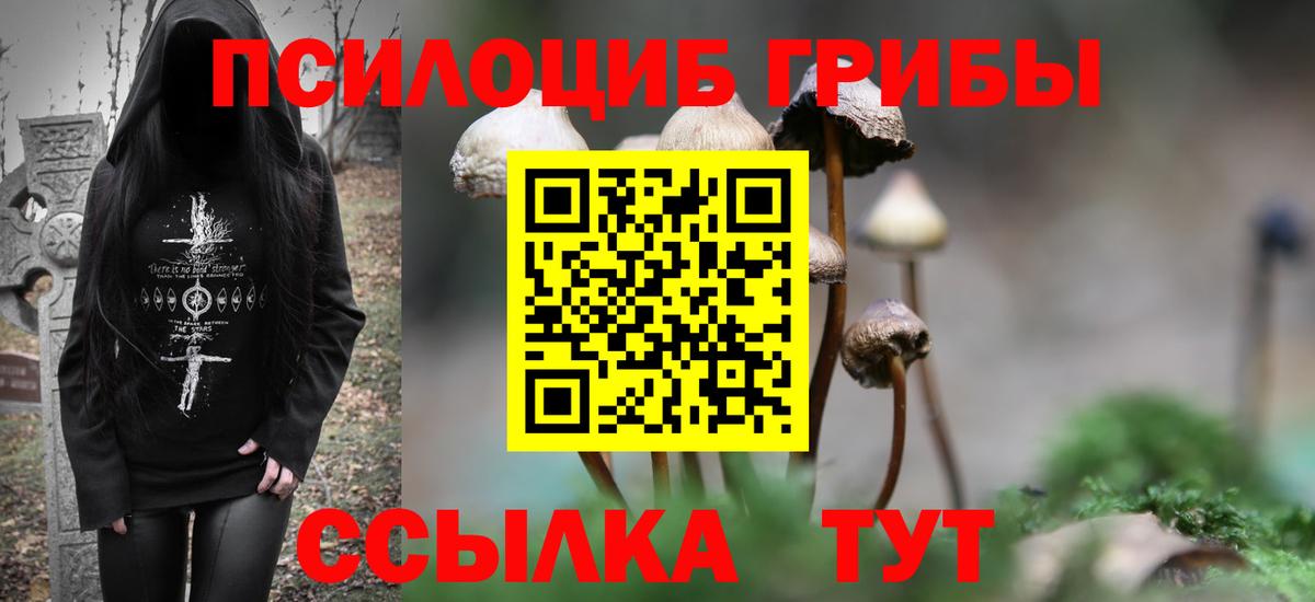 Галлюциногенные грибы MAGIC MUSHROOMS Кандалакша